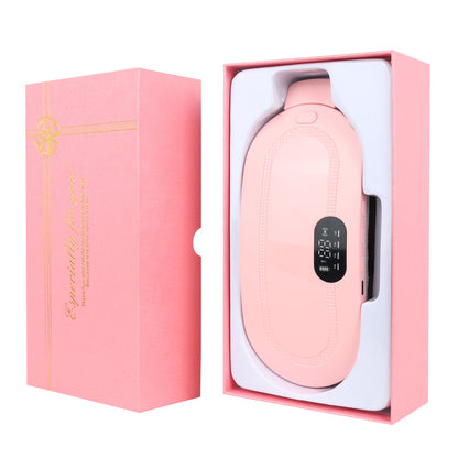 Electric Stomach and Lumbar Warming Bag - AR Perk Inc