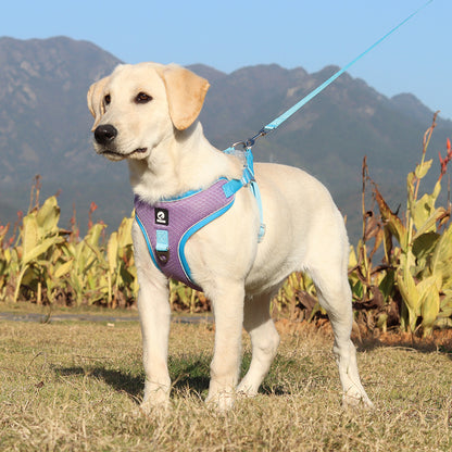 Breathable Adjustable Pet Harness with Leash - AR Perk Inc