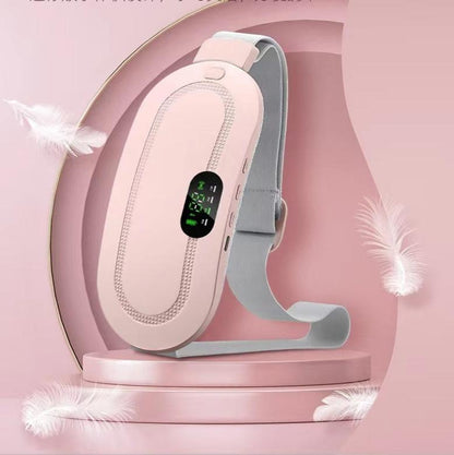 Electric Stomach and Lumbar Warming Bag - AR Perk Inc