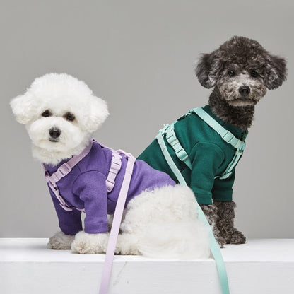 Macaron-Style Pet Leash – Trendy & Durable - AR Perk Inc