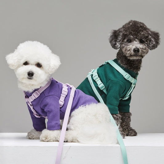 Macaron-Style Pet Leash – Trendy & Durable - AR Perk Inc