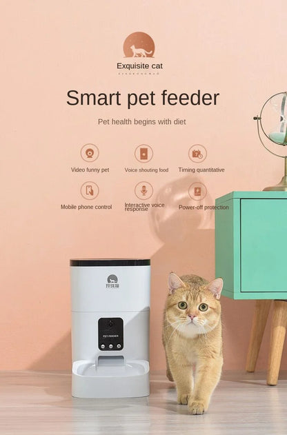 Pet Smart Automatic Pet Feeder Cat and Dog Automatic Feeding Machine Timing Quantitative - AR Perk Inc