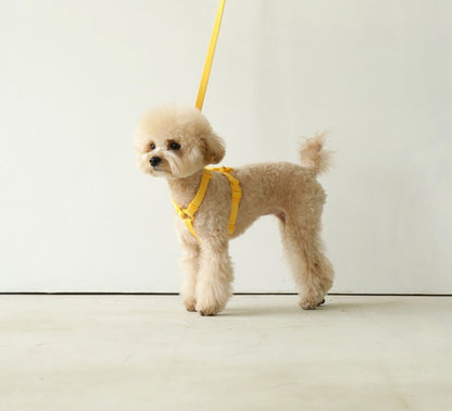 Macaron-Style Pet Leash – Trendy & Durable - AR Perk Inc